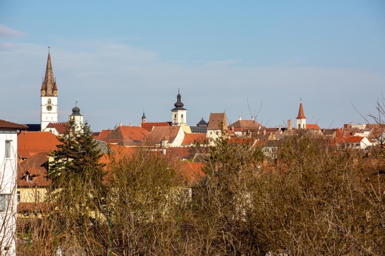 The Views Apartment Sibiu Luaran gambar